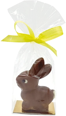 Kleiner Schokoladenhase 