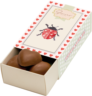 Kleine Schokoladenbox - Marienkäfer & Herzle