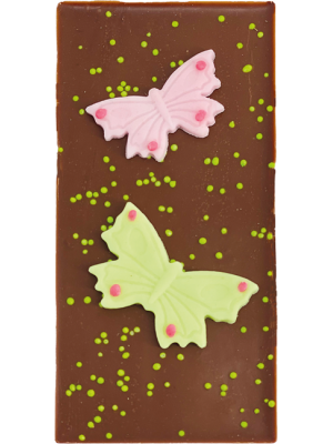 Frühlingstäfelchen „Schmetterlinge“